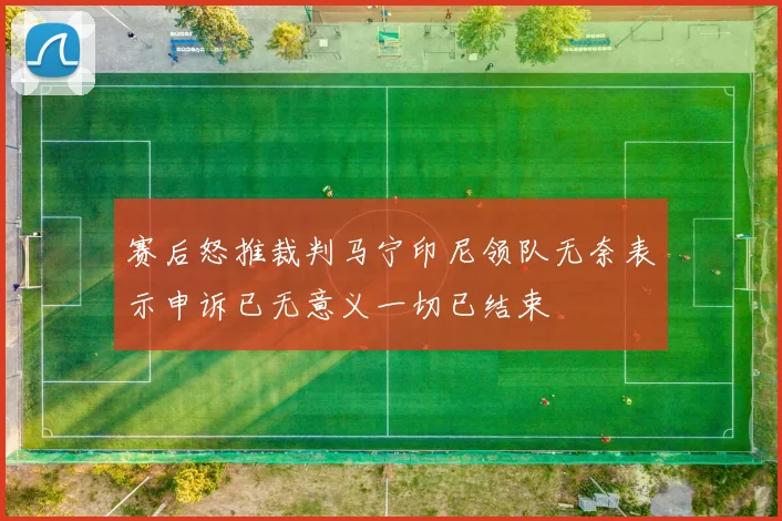 赛后怒推裁判马宁印尼领队无奈表示申诉已无意义一切已结束